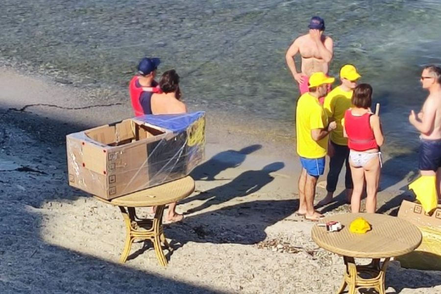 CARTON BOAT
