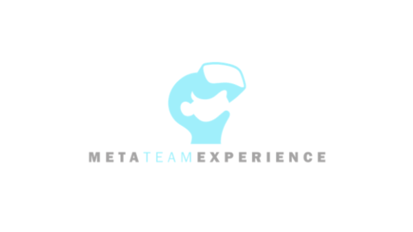 META TEAM EXPERIENCE