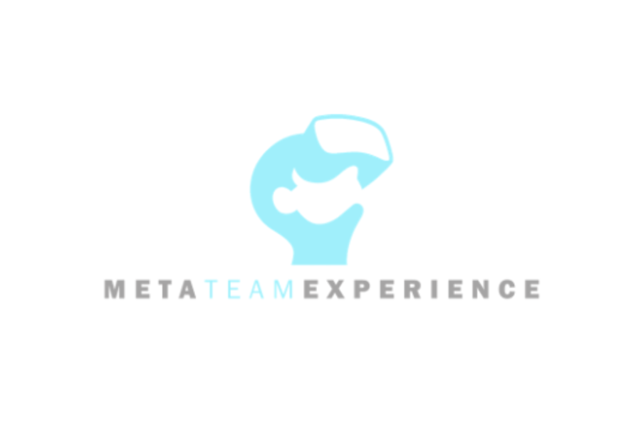 META TEAM EXPERIENCE