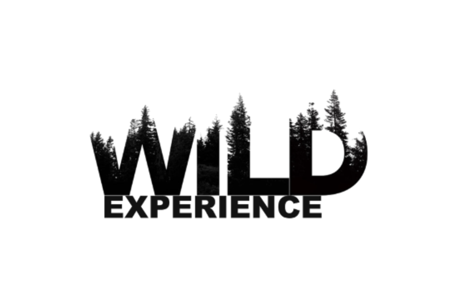 WILD EXPERIENCE